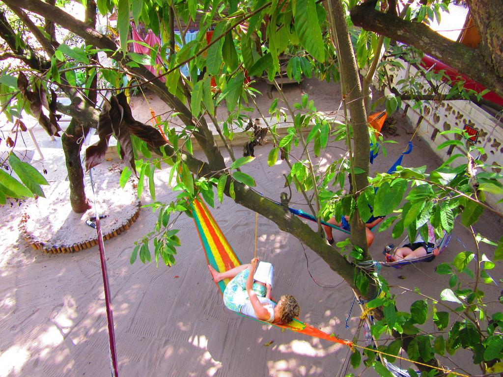 The Funky Dodo Backpackers Hostel Hopkins Dış mekan fotoğraf