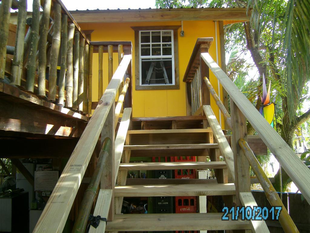 The Funky Dodo Backpackers Hostel Hopkins Dış mekan fotoğraf