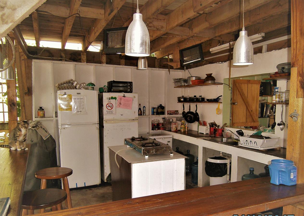 The Funky Dodo Backpackers Hostel Hopkins Dış mekan fotoğraf