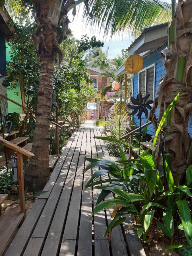 The Funky Dodo Backpackers Hostel Hopkins Dış mekan fotoğraf